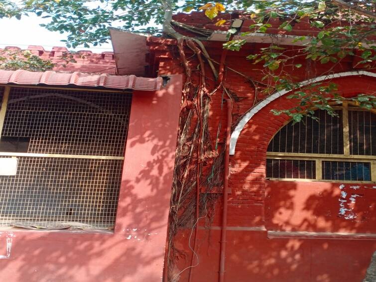 அரசு அலுவலக கட்டிடம் பராமரிப்பு செய்யப்படாததால் ஆலமரம் வேரூன்றி கட்டிடம் பழுதாகி இருப்பதை கண்டு கொள்ளாமல் வேடிக்கை பார்க்கும் வட்டாட்சியர்