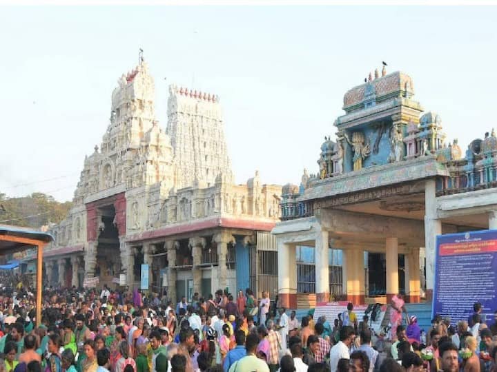 Pongal Festival, Devotees Have Been Visiting Famous Temple Since Early Morning In Tamilnadu