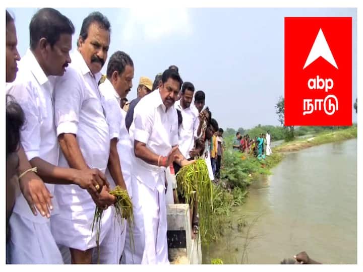 Tamilnadu Opposition Leader Edappadi Palaniswami Has Made A Statement To The DMK – TNN | கனமழையால் பாதிக்கப்பட்ட நெற்பயிற்களுக்கு நிவாரணம்