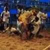 Jallikattu 2024 First Jallikattu Event Held At The Jallikattu Arena Near Alankanallur In Madurai District Ended With A Bang – TNN