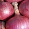 central government has given permission to export 54,760 tonnes of onions to countries including Bangladesh, Mauritius, Bhutan and Bahrain.