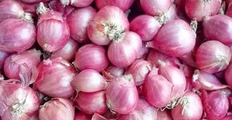 Vegetables price list february 1st 2024 chennai koyambedu market