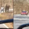 Two men try to click selfie, narrowly escape elephant attack in Karnataka’s Bandipur forest watch VIDEO | Watch Video: செல்ஃபி மோகம்! காட்டு யானையிடமிருந்து நூலிழையில் உயிர் தப்பிய இருவர்