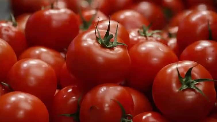 Vegetables price list february 7 2024 chennai koyambedu market