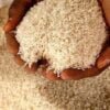 Skyrocketing rice prices: Action needed to curb them- Ramadoss | Rice Price: விண்ணை முட்டும் அரிசி விலை: கட்டுப்படுத்த நடவடிக்கை தேவை