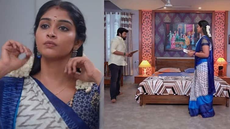 karthigai deepam serial today zee tamil written update 19th march