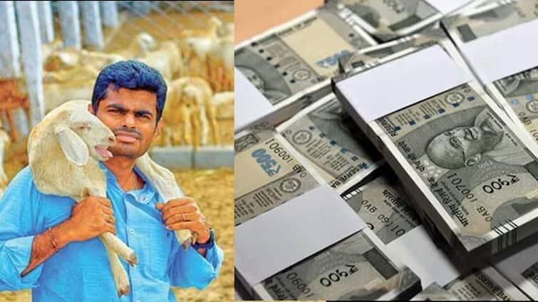 TN BJP Leader Coimbatore BJP Candidate 2024 Annamalai Assets Details Movable Immovable Assets