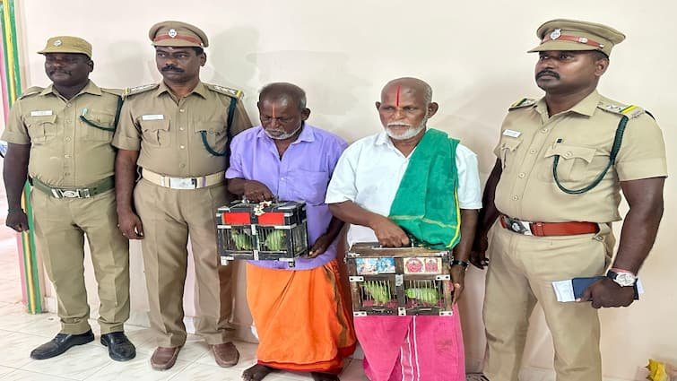 Parrot astrologer arrested for Pmk candidate thangar bachan – TNN | தங்கர்பச்சானுக்கு கிளி ஜோசியம் பார்த்தவர் கைது; பழிவாங்கும் திமுக