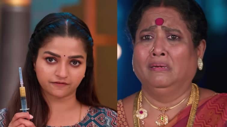 anna serial today april 4th written update zee tamil | Anna Serial: பாண்டியம்மாவை பயத்துடன் ஓடவிட்ட பரணி.. சந்தோஷத்தில் குடும்பம்
