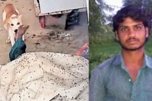 அரசு மருத்துவமனை அவலம்: பிணவறையில் வாலிபர் சடலத்தை சாப்பிட்ட நாய், தெலுங்கானாவில் அதிர்ச்சி சம்பவம்  – ACTPnews.com