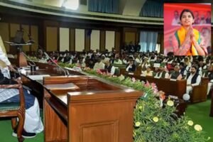 அரசு மருத்துவமனைகளின் அவலம்:சட்டசபையில் அமைச்சரை அலற விட்ட ஆளும்கட்சி பெண் எம்எல்ஏ – ACTPnews.com