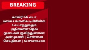 காவிரி டெல்டா மாவட்டங்களில் டிபிசியில் 6 லட்சத்துக்கும் அதிகமான நெல் மூடைகள் குவிந்துள்ளன: அன்புமணி | சென்னை செய்திகள்
 | ACTPnews.com